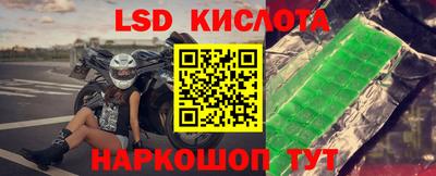 шишки Пушкино